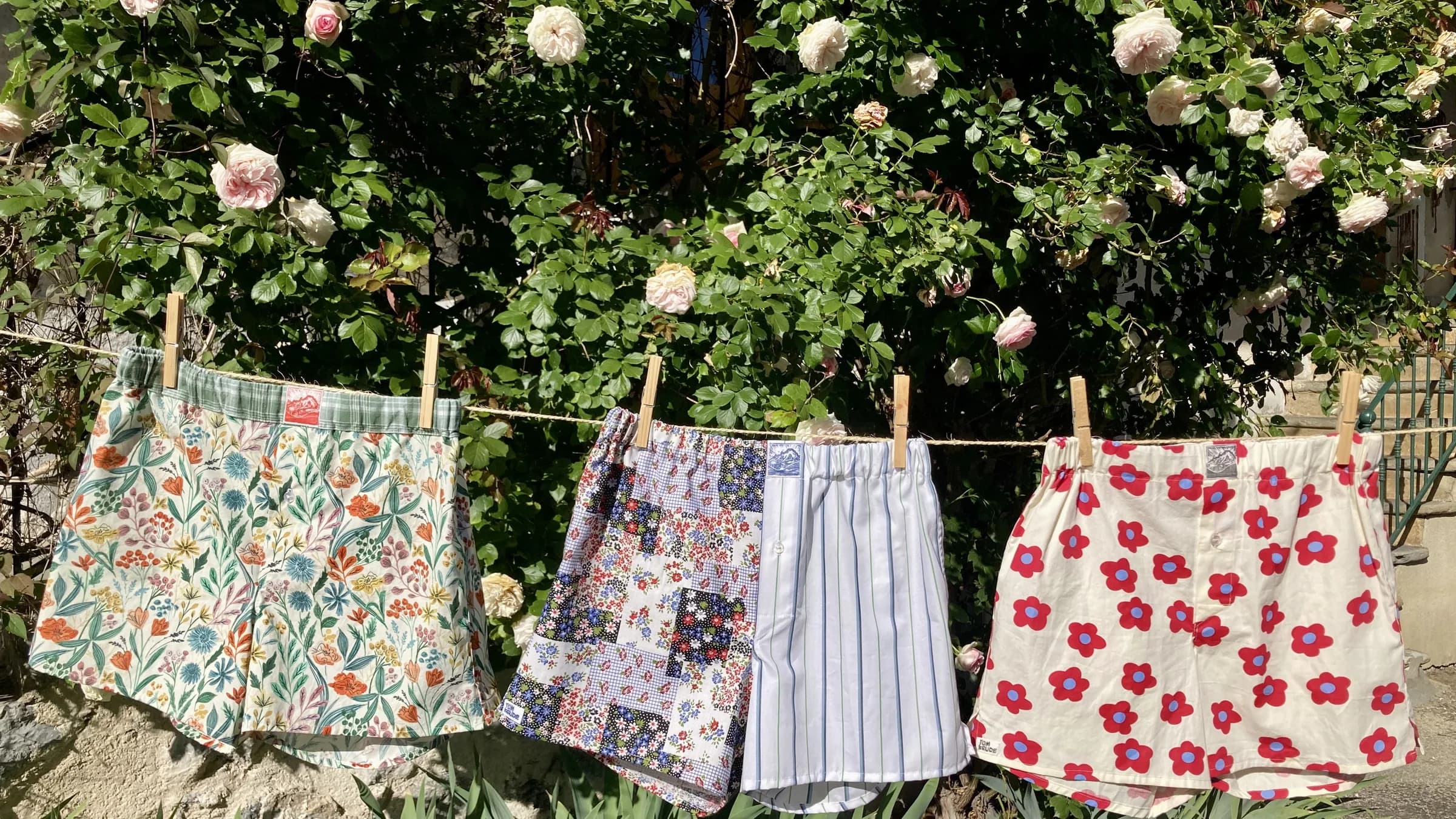 Caleçons Tom Keude suspendus sur un fil à linge devant un rosier
